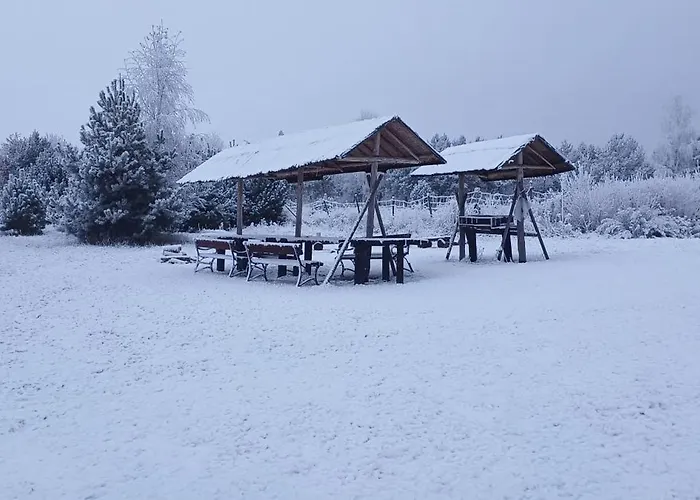 Za Lasem * Napachanie