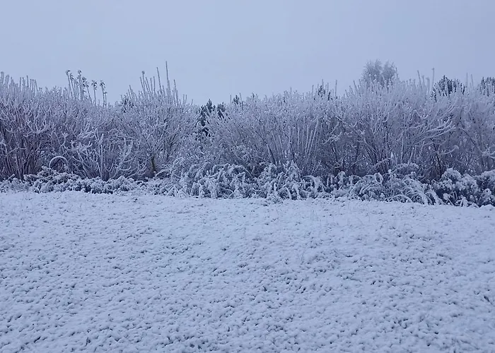 Séjour à la ferme Za Lasem Napachanie