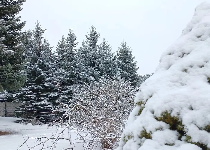 Farm stay Za Lasem Napachanie