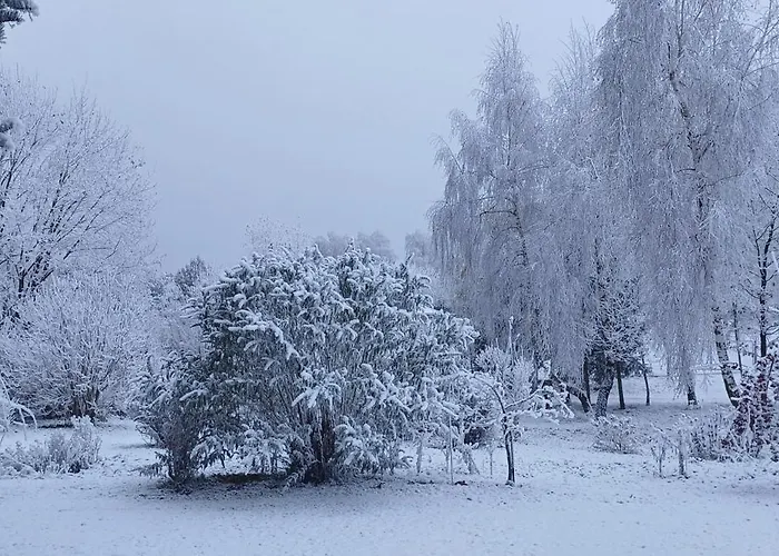 Za Lasem Farm stay Napachanie