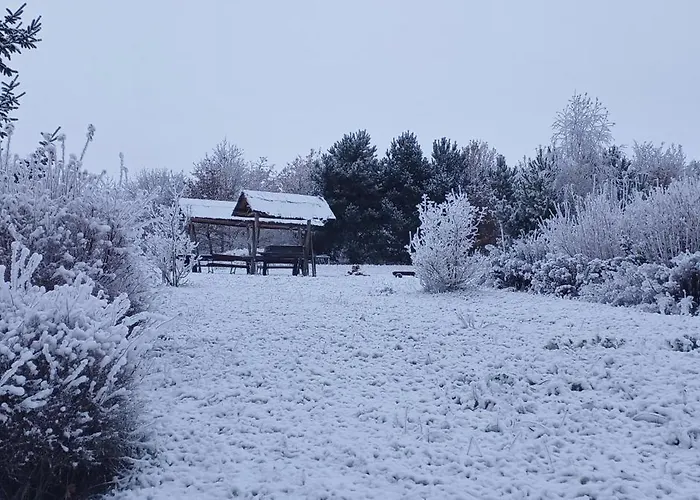Za Lasem * Napachanie